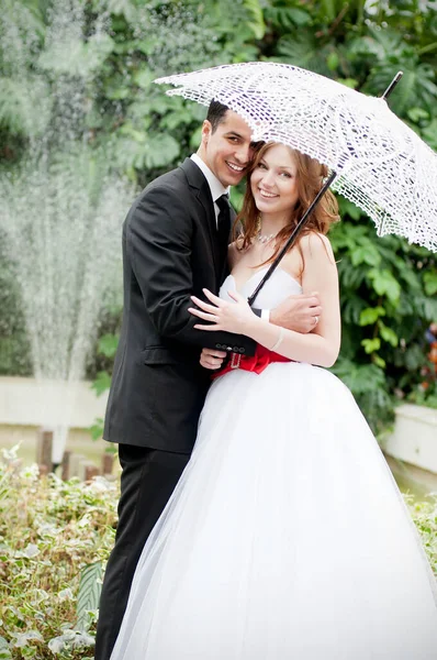 Een Jong Bruidspaar Wit Bruidegom Onder Opengewerkte Paraplu — Stockfoto