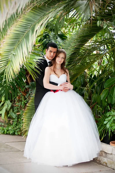 花嫁と新郎 結婚式の日 — ストック写真