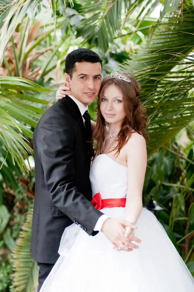 Glückliche Braut Und Bräutigam Hochzeitstag Liebe — Stockfoto