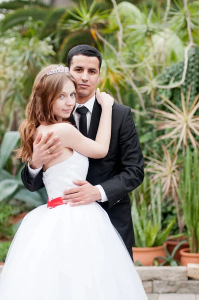 エキゾチックな庭で結婚式のカップル 花嫁と新郎 — ストック写真