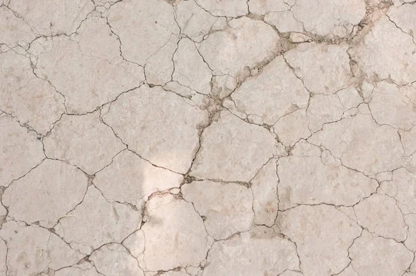 Cracked Ground Desert Lifeless Soil Background — Stock Photo, Image