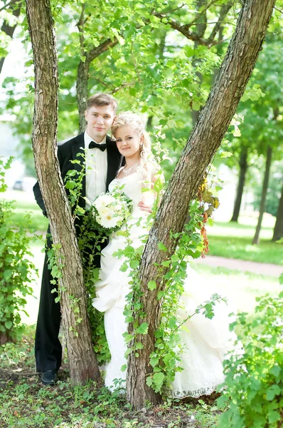 結婚式の花嫁と新郎 豪華な白いウェディングドレスの花嫁 — ストック写真