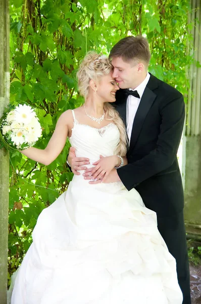 結婚式の花嫁と新郎 豪華な白いウェディングドレスの花嫁 — ストック写真