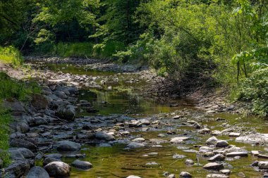 Yağmur eksikliği su kaynaklarının kurumasına neden olur.