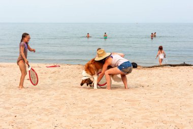 St. Bernard köpeği olan bir aile kumsalda oynuyor.