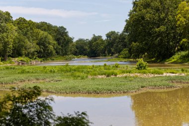 Eyalet parkında akan küçük bir nehir, sığ su.