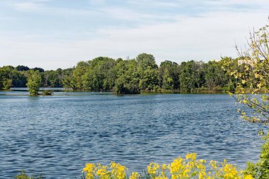 Wisconsin 'deki güzel gümüş göl