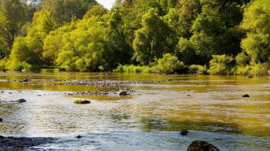 Manitowoc River flowing through the forest clipart