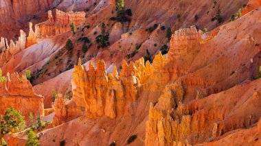Utah 'taki Bryce Canyon Ulusal Parkı, dünyanın en güzel ulusal parklarından biri.
