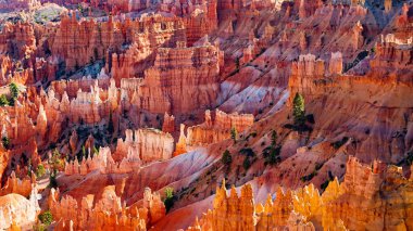 Utah 'taki Bryce Canyon Ulusal Parkı, dünyanın en güzel ulusal parklarından biri.