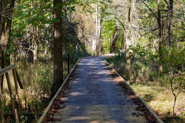 Parktaki tahta patika.