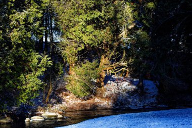 A stream in a snowy park clipart