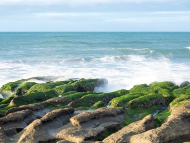 LaoMei yeşil kaya yalakları / Tayvan 'ın New Taipei şehrinde bulutlu yeşil resif.