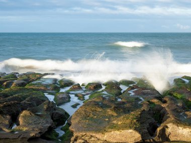 LaoMei yeşil kaya yalakları / Tayvan 'ın New Taipei şehrinde bulutlu yeşil resif.