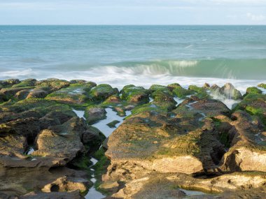 LaoMei yeşil kaya yalakları / Tayvan 'ın New Taipei şehrinde bulutlu yeşil resif.