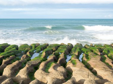 LaoMei yeşil kaya yalakları / Tayvan 'ın New Taipei şehrinde bulutlu yeşil resif.