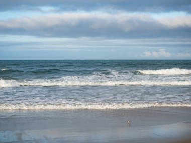 Tayvan 'da sisli kumsala uzun süre maruz kalma.