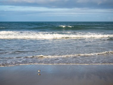 Tayvan 'da sisli kumsala uzun süre maruz kalma.