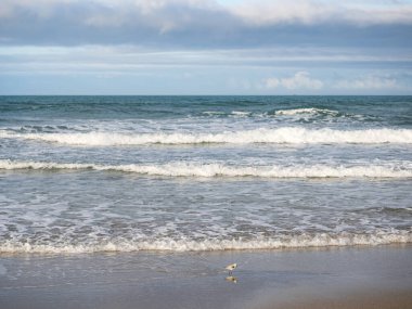 Tayvan 'da sisli kumsala uzun süre maruz kalma.
