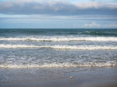 Tayvan 'da sisli kumsala uzun süre maruz kalma.