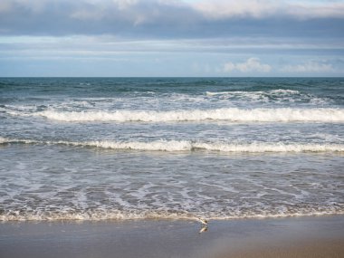 Tayvan 'da sisli kumsala uzun süre maruz kalma.