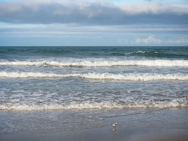 Tayvan 'da sisli kumsala uzun süre maruz kalma.