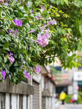 Tamsui, New Taipei City, Tayvan 'da eski tuğla duvar.