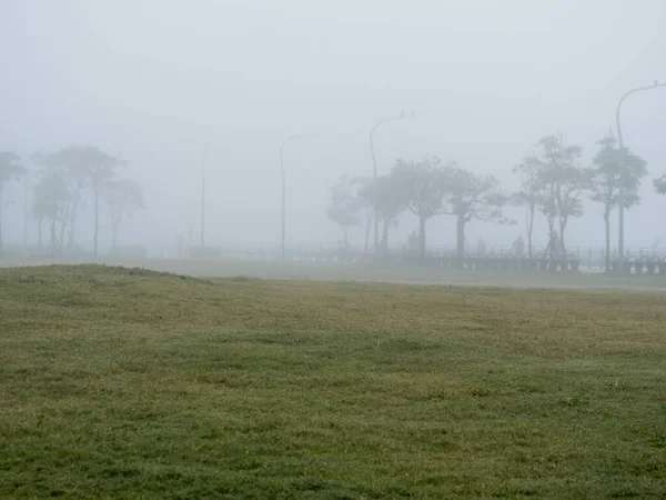 mist landscape in morning in winter