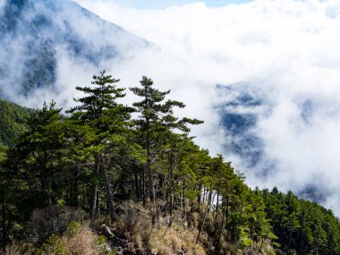 Taitung, Tayvan 'daki Güney Çapraz Ada Otoyolu' nun manzarası.