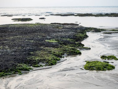 New Taipei şehrindeki Laomei Green Reef (Taş yalaklar) manzarası. Deniz oluğunda (deniz erozyonu hendeği) sadece Nisan ve Mayıs aylarında yeşil yosun bulunur..
