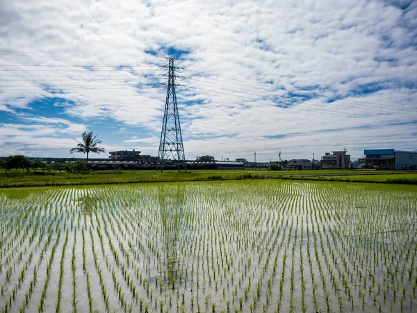 stock image Rice farm in Yilan,Taiwan.