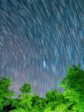 Mavi karanlık gece gökyüzüne alan ağaçların yukarıda birçok yıldız ile.