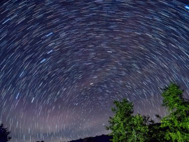 Mavi karanlık gece gökyüzüne alan ağaçların yukarıda birçok yıldız ile.
