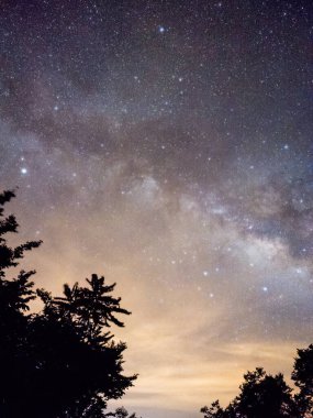 Mavi karanlık gece gökyüzüne alan ağaçların yukarıda birçok yıldız ile.