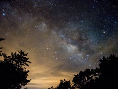 Mavi karanlık gece gökyüzüne alan ağaçların yukarıda birçok yıldız ile.