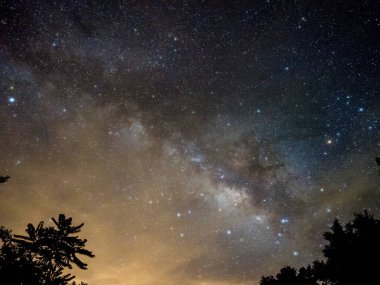 Mavi karanlık gece gökyüzüne alan ağaçların yukarıda birçok yıldız ile.