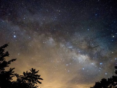 Mavi karanlık gece gökyüzüne alan ağaçların yukarıda birçok yıldız ile.