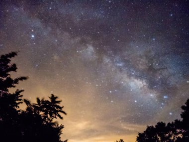 Mavi karanlık gece gökyüzüne alan ağaçların yukarıda birçok yıldız ile.