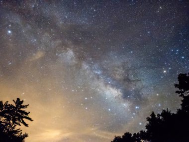 Mavi karanlık gece gökyüzüne alan ağaçların yukarıda birçok yıldız ile.