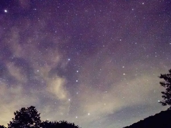 Céu Escuro Azul Noite Com Muitas Estrelas Acima Campo Árvores — Fotografia de Stock