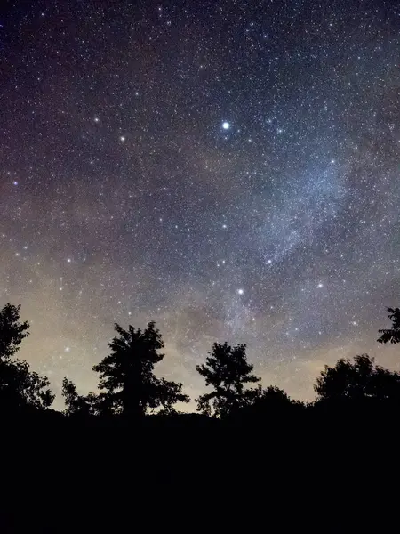 Blauer Dunkler Nachthimmel Mit Vielen Sternen Über Dem Baumfeld — Stockfoto