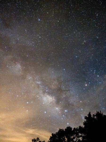 Голубое темное ночное небо со многими звездами над полем деревьев
.