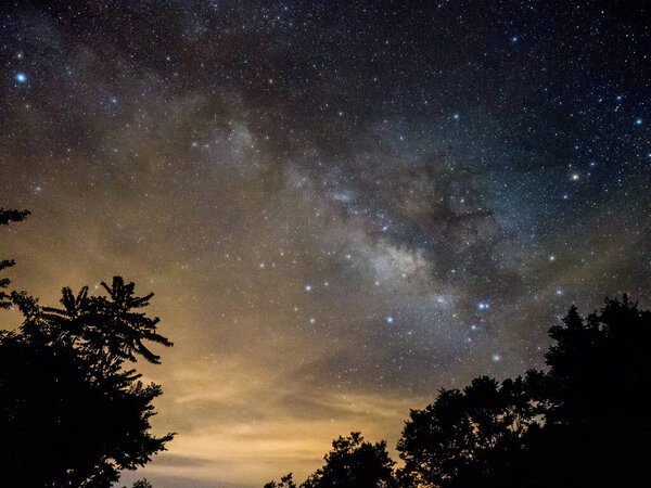 Голубое темное ночное небо со многими звездами над полем деревьев
.