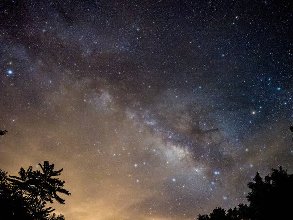 Blue dark night sky with many stars above field of trees.