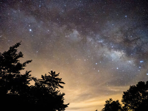 Blue dark night sky with many stars above field of trees.