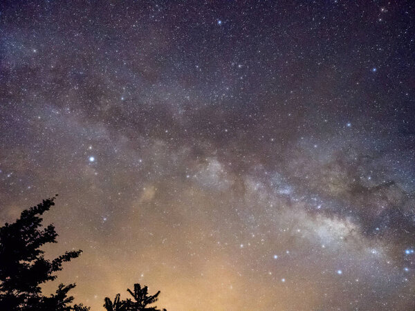 Blue dark night sky with many stars above field of trees.