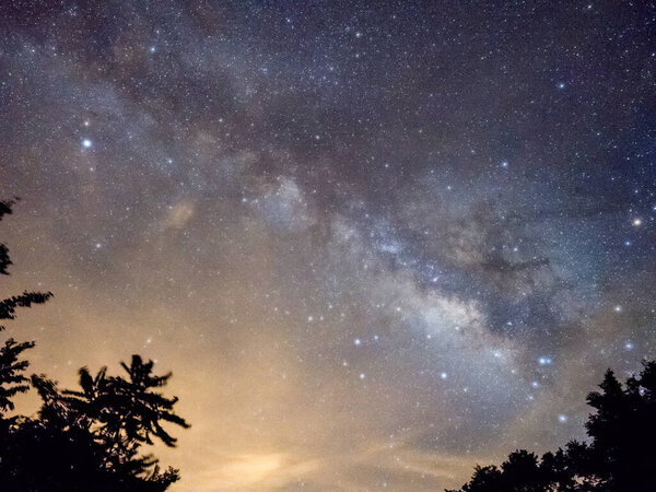 Blue dark night sky with many stars above field of trees.