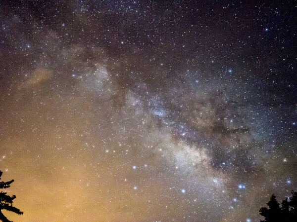 Голубое темное ночное небо со многими звездами над полем деревьев
.