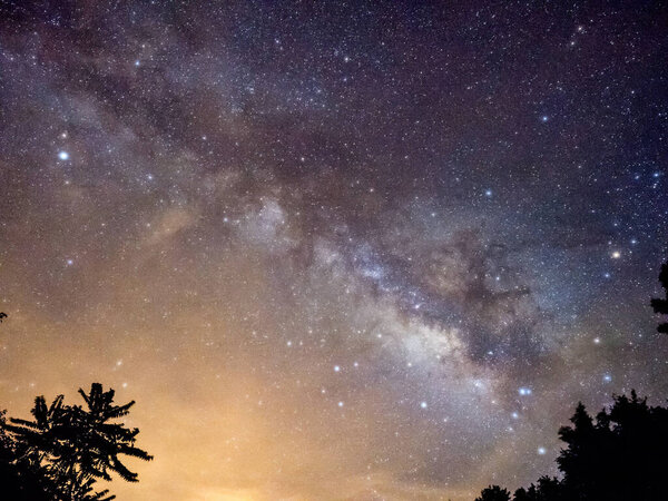 Blue dark night sky with many stars above field of trees.