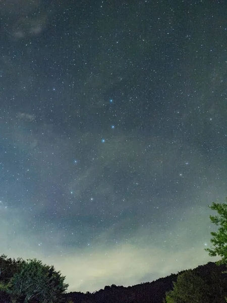 Blå Mörka Natthimlen Med Många Stjärnor Ovanför Fältet Träd — Stockfoto